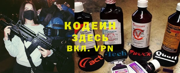 эйфоретик Бородино