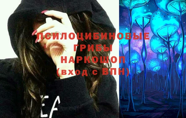 ешки Бугульма