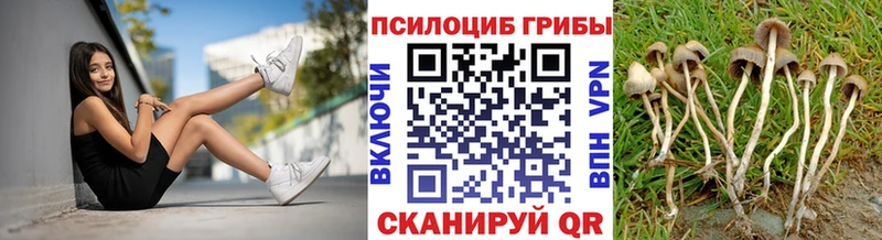 MEGA как зайти  Таганрог  Псилоцибиновые грибы мухоморы 